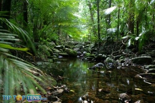 Fajria -- Ekosistem di Gurun, Hutan Hujan Tropis & padang rumput ...